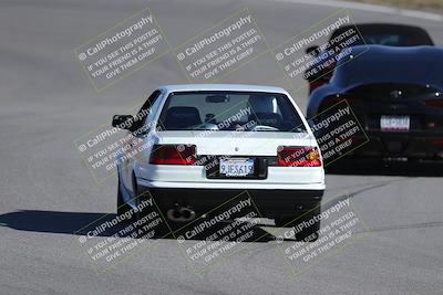 media/Nov-19-2023-Extreme Speed (Sun) [[bd0eec5490]]/Purple/Back Shots/